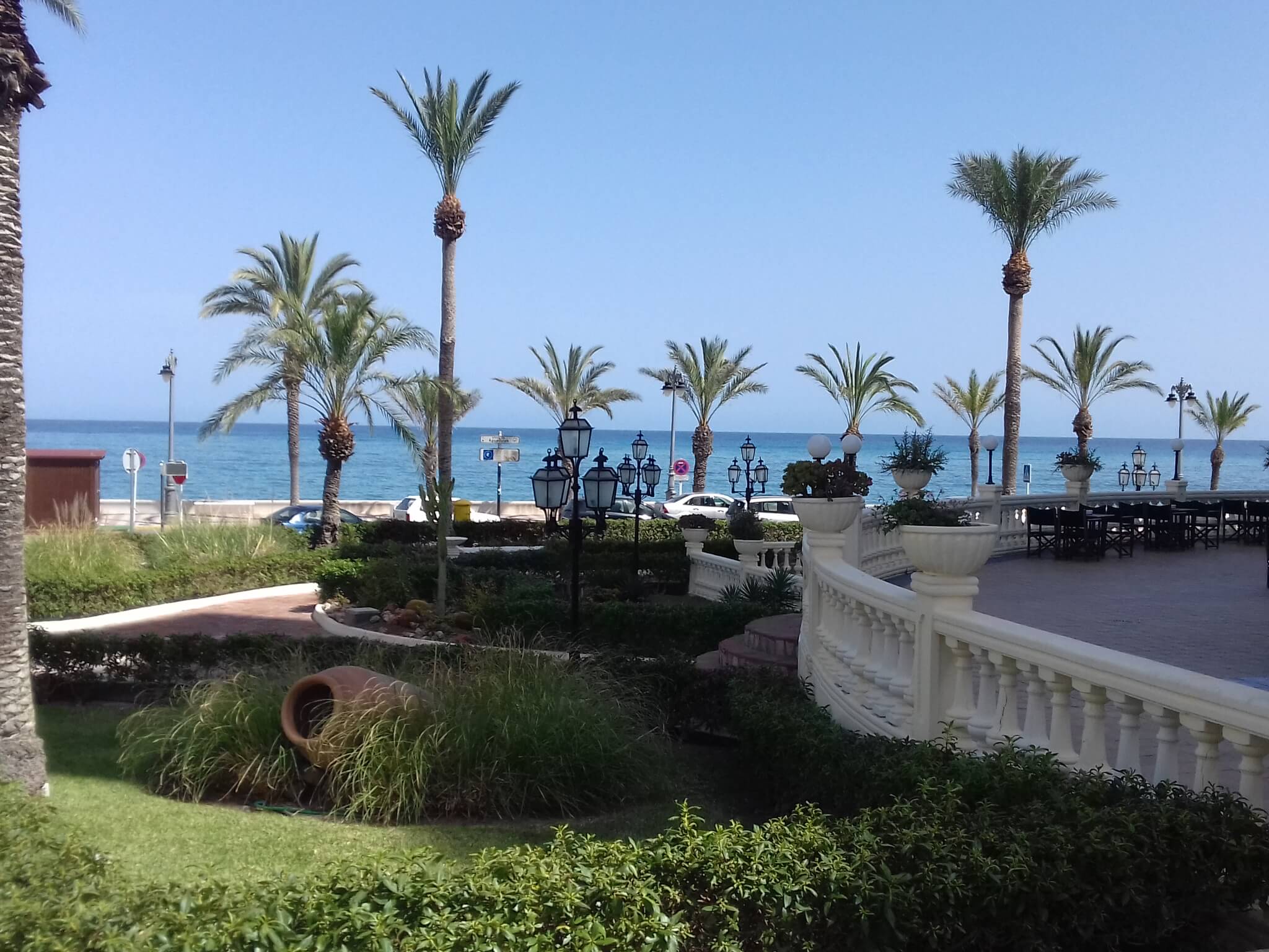 horizon view palm trees and sea in Aguadulce city